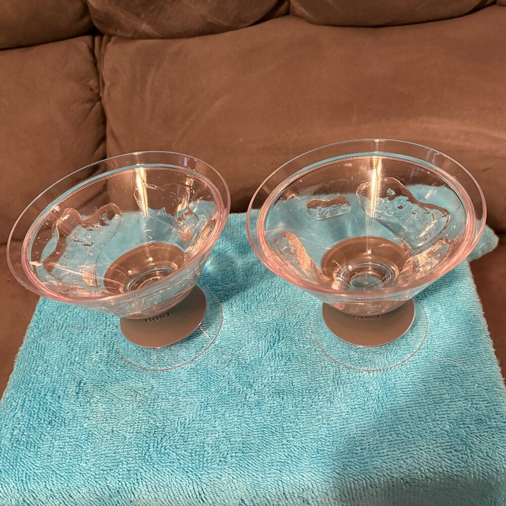 Host Freeze Insulated Martini/Cocktail Cooling Cups(2)-Plastic w/Cooling Gel-EUC